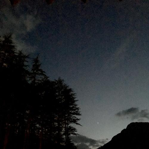 Photo #3019969
