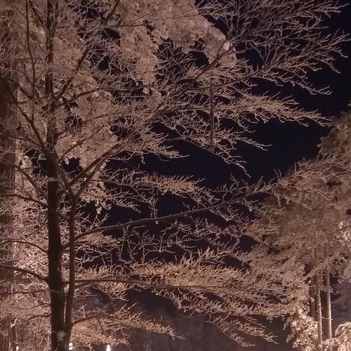 Snowy night