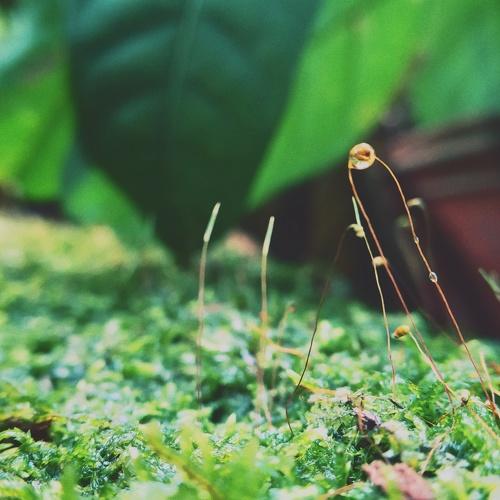 Droplet