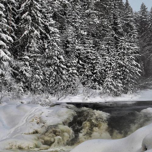 Photo #3020895