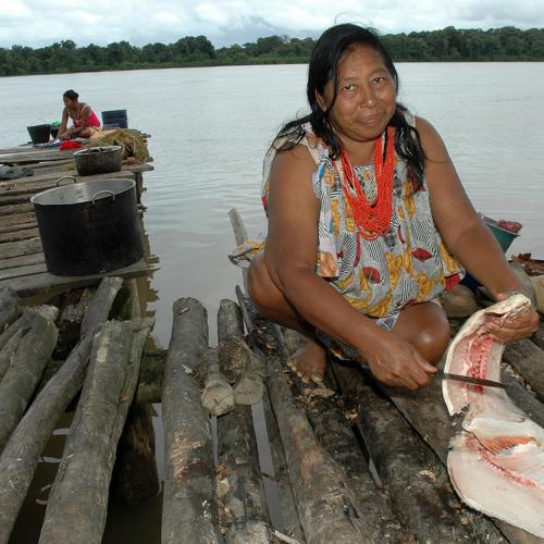 Mujer Warao