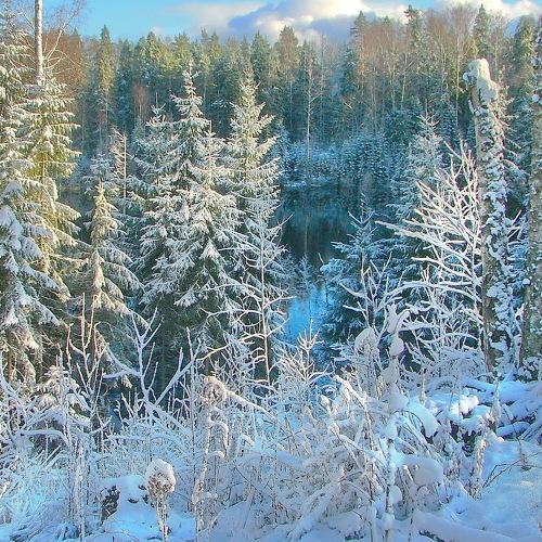 После первой снежной бури