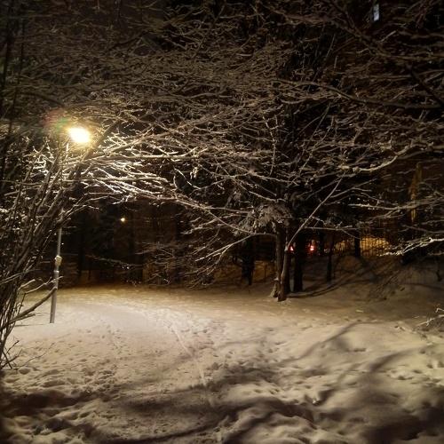 Photo #3021877