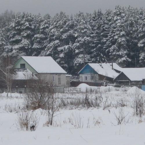 Моя Родина засыпана  снегом...