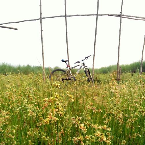 Photo #3022458