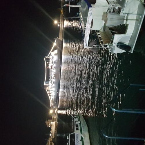 Photo #3022807