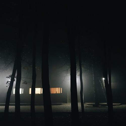 Night