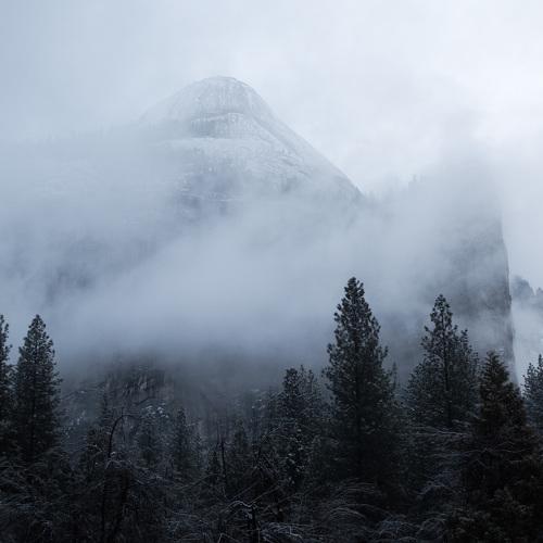 Yosemite Fog
