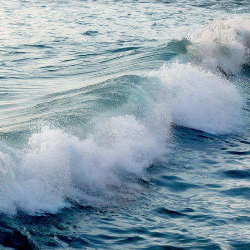 My wave