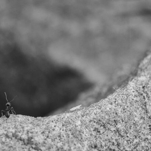 Small big world