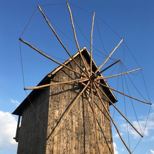 Photo #3024390
