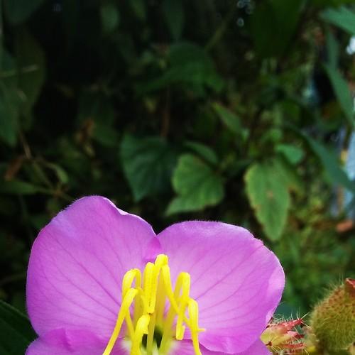 Photo #3025939