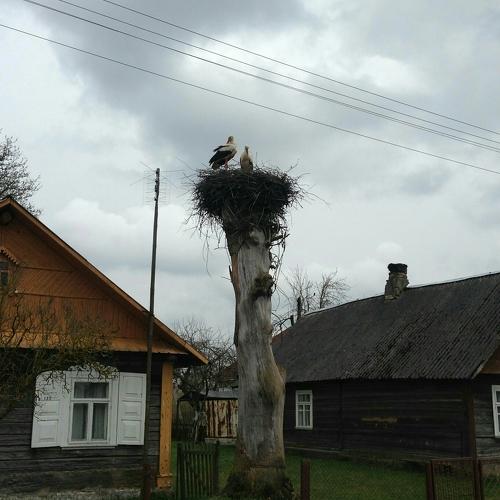 Осень