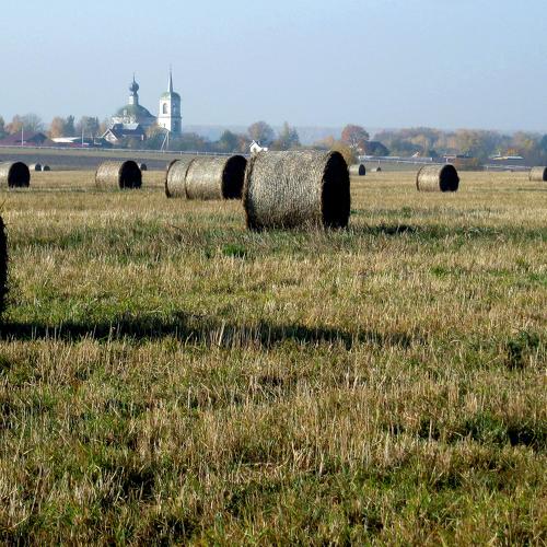 Осень в подмосковьи