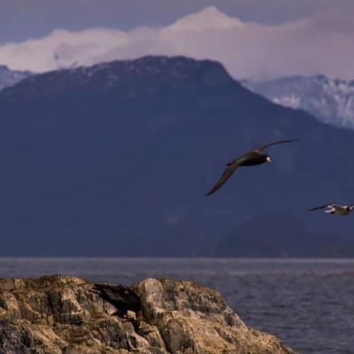 Ushuaia fin del mundo