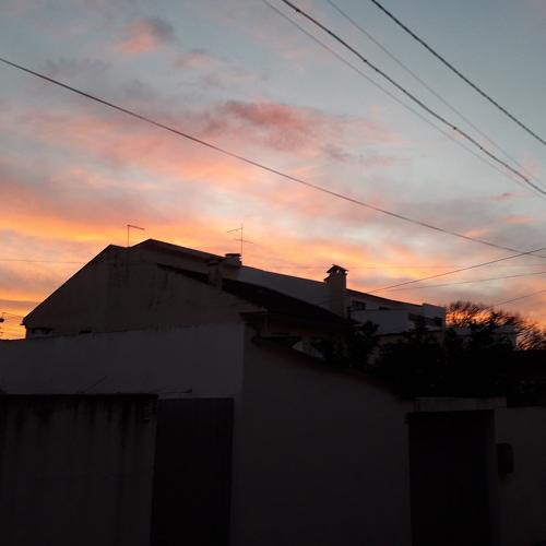 Photo #3029819