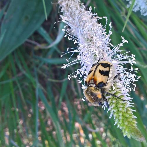 Photo #3029944