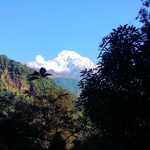 Mt. Dhaulagiri