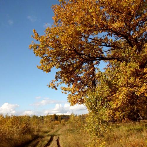 Photo #3030695