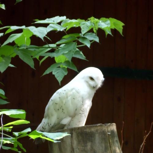 Photo #3030719