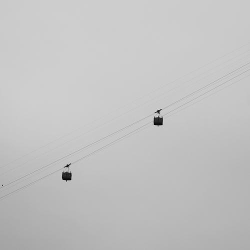 Minimalism