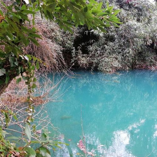 Photo #3031041