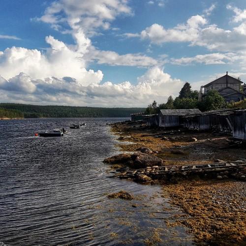 Photo #3031340