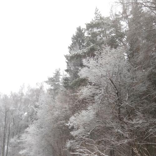 Оловянная зима