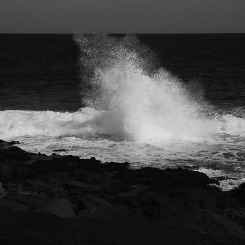 Pure Nature #1