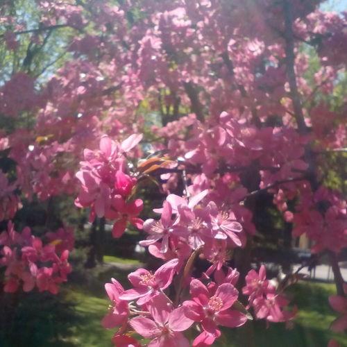 Photo #3032721