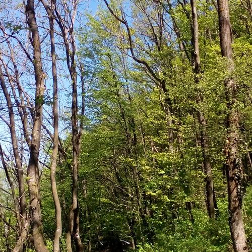Photo #3033340