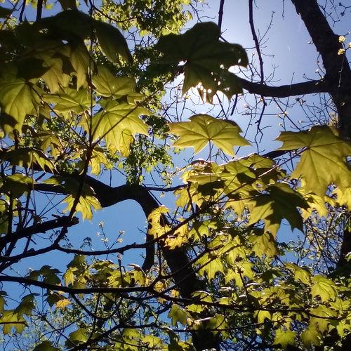 Photo #3033498