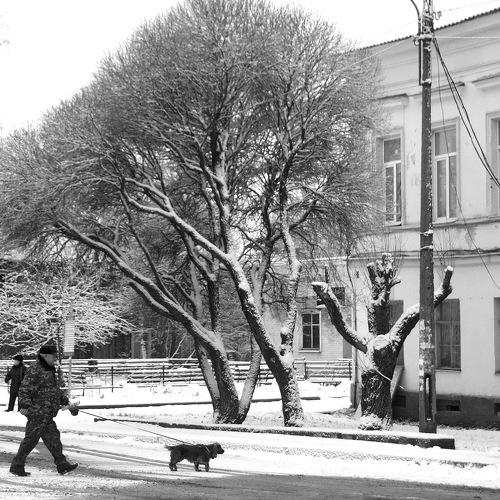 Зимние будни
