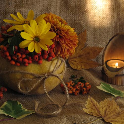 Fall