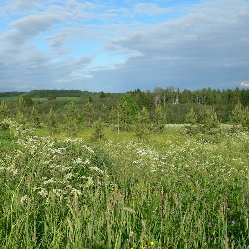 Русское раздолье