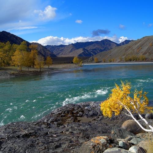 Photo #3035029