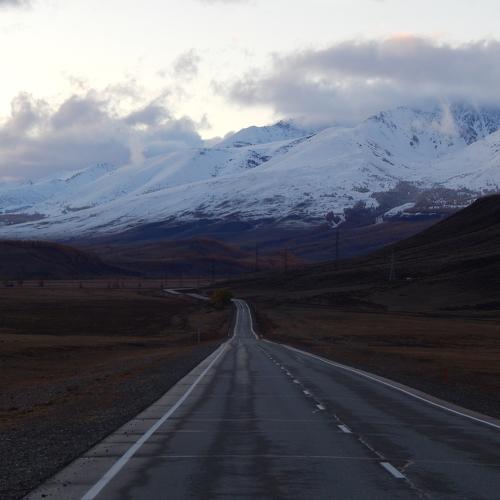 Photo #3035035