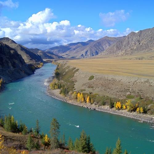 Photo #3035048