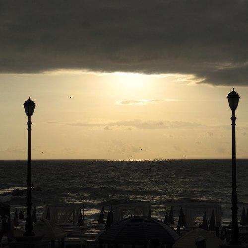 Photo #3035299