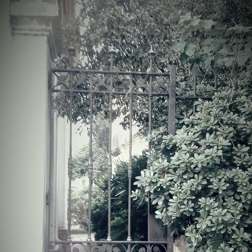 Portal al pasado