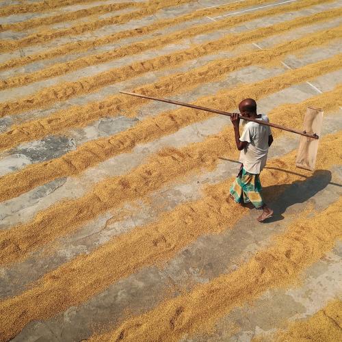 Way of livelihood