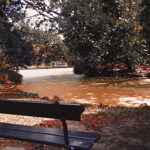 Quiet Zone