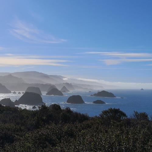 West coast