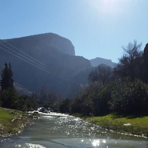 The River