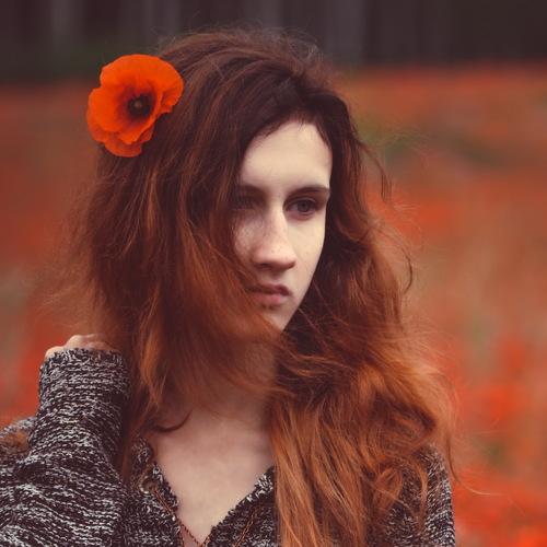 Photo #3038465
