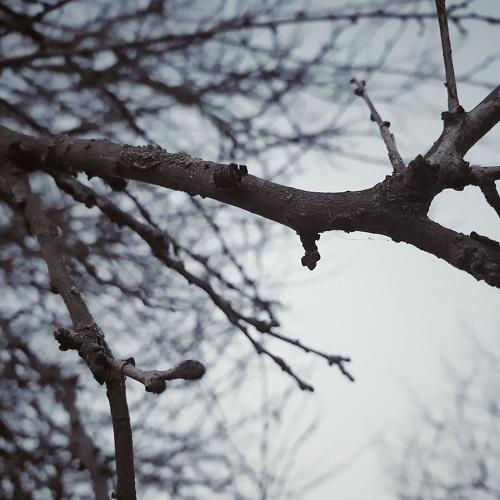 It's cold