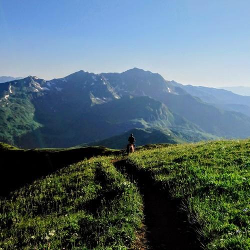 Photo #3039117