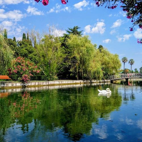 Photo #3039157