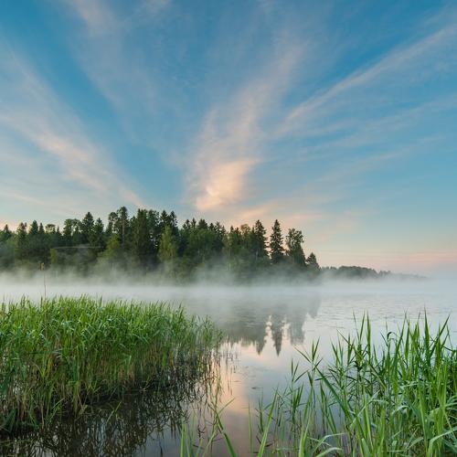 Летний снег