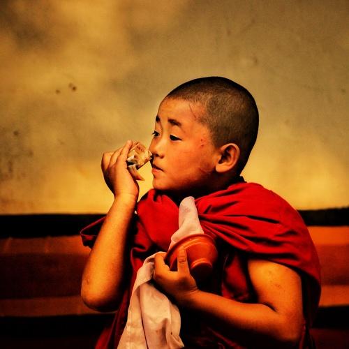 Young Monk of Bhutan